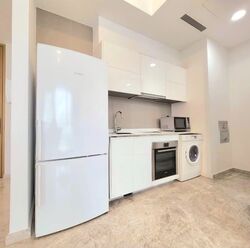 Skyline Residences (D4), Condominium #577938181